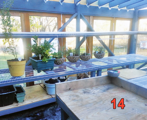 GreenhouseBuild14